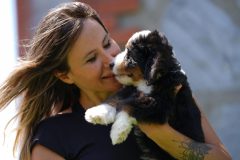 Bernedoodle-Male-Black-Tri-Colour-Standart-Size-25-Months0623-08_09