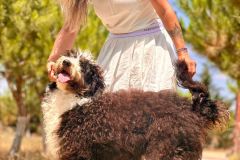 IMG-20240730-WA0004