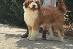 IMG-20240729-WA0064